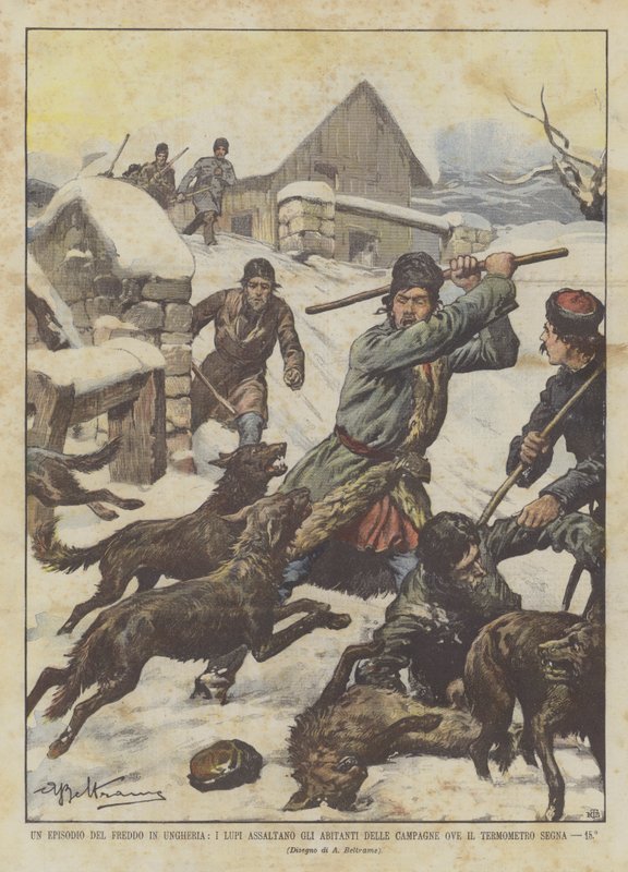 En episode med kulde i Ungarn, ulvene angriper innbyggerne på landsbygda der termometeret markerer, 15 ° av Achille Beltrame