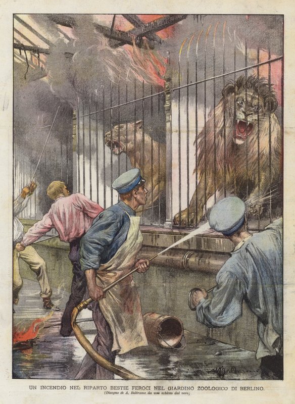 A Fire in the Wild Beasts Allotment i Berlin Zoological Garden (farge litho) av Achille Beltrame