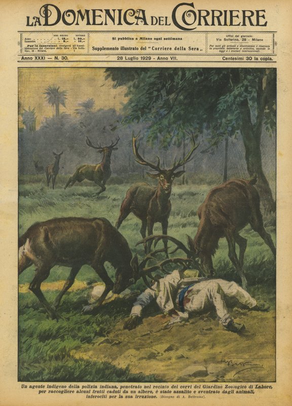 En urbefolkningsagent for det indiske politiet, brøt seg inn i hjorteinnhegningen i Zoological Garden? av Achille Beltrame