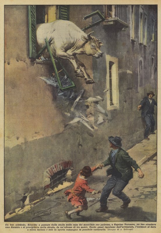 En akrobatokse av Achille Beltrame