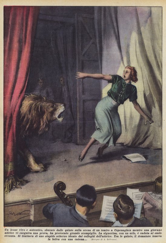 En levende og autentisk løve, dukket opp fra vingene på scenen til et teater i København mens en? av Achille Beltrame
