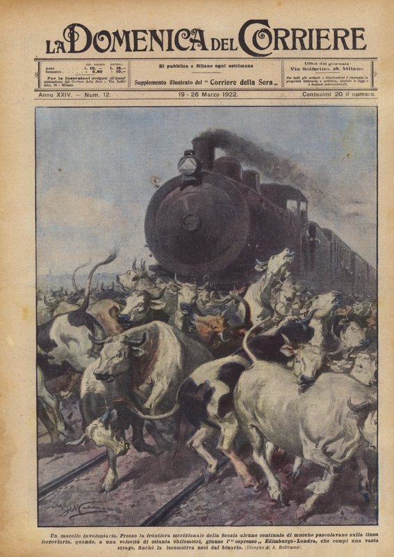Et ufrivillig slakt av Achille Beltrame
