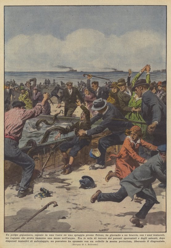 Har en gigantisk blekksprut, vist i et badekar på en strand i nærheten av Toulon, tatt tak? av Achille Beltrame