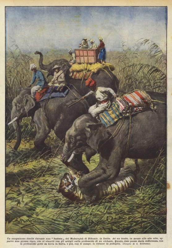 En blodig duell under en spøk av Maharajah av Bikanir, India av Achille Beltrame