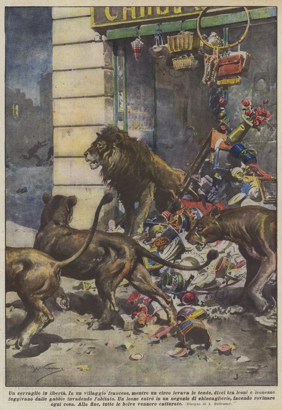 Et menasjeri på frifot av Achille Beltrame