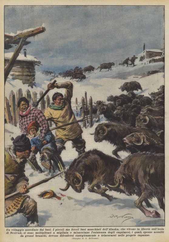 En landsby beleiret av okser av Achille Beltrame