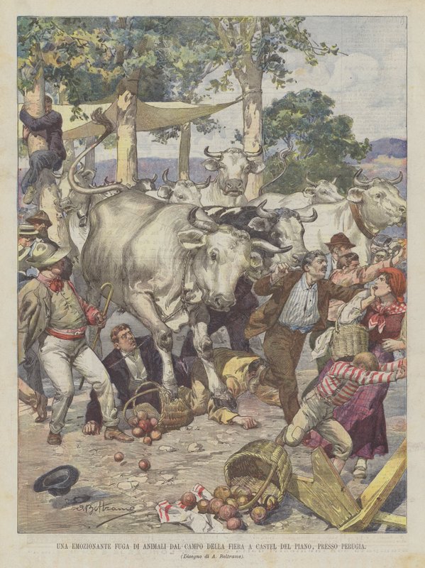 En spennende flukt for dyr fra Campo della Fiera i Castel del Piano, nær Perugia av Achille Beltrame