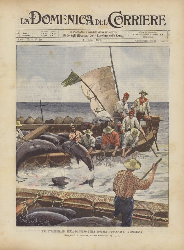 Et ekstraordinært tunfiskfiske i Tonnara DIsolapiana, på Sardinia av Achille Beltrame