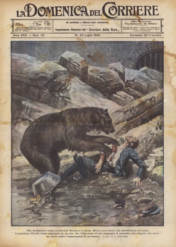 En dramatisk scene i Romas zoologiske hage av Achille Beltrame