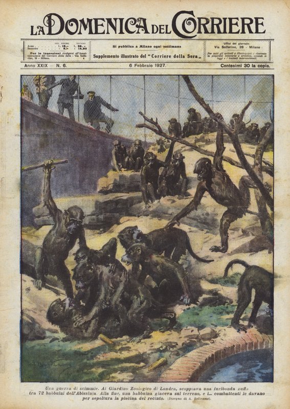En krig mellom apene av Achille Beltrame