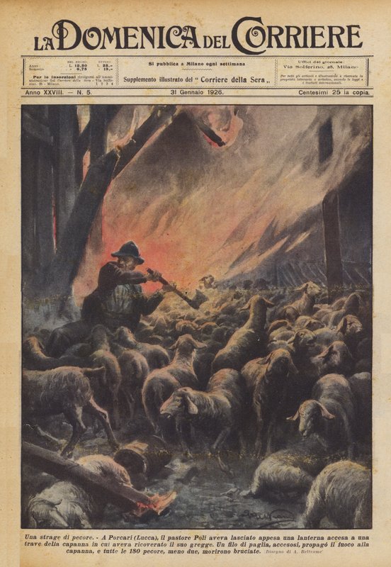 Et slakt av sau av Achille Beltrame