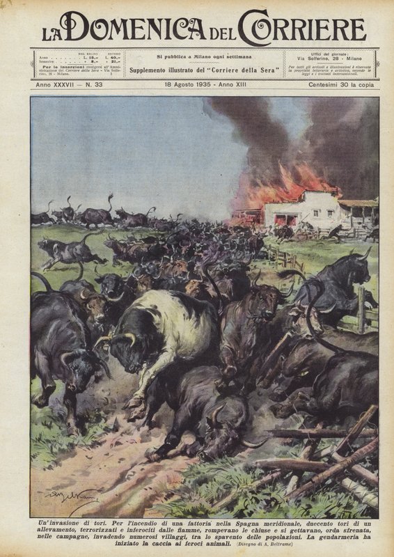 En invasjon av okser av Achille Beltrame