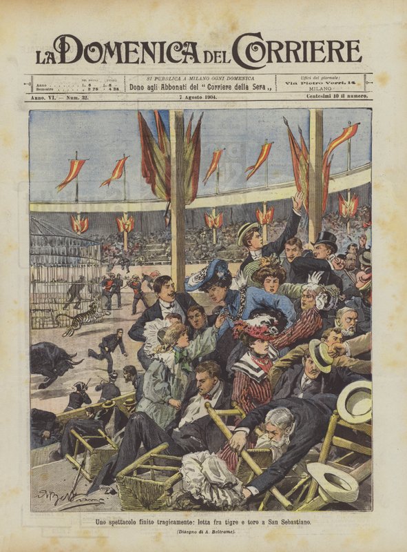 Et show som endte tragisk, en kamp mellom tiger og okse i San Sebastiano av Achille Beltrame