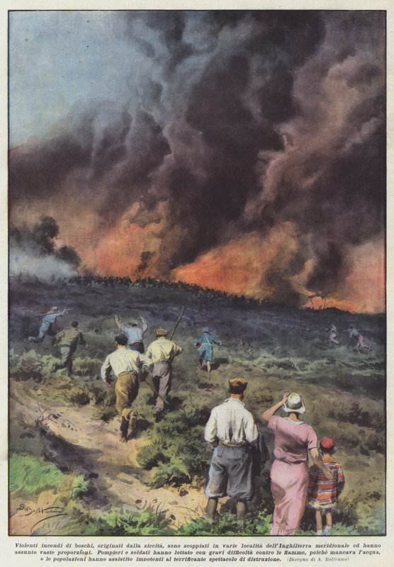 Har det brutt ut voldsomme skogbranner, som stammer fra tørke, forskjellige steder? av Achille Beltrame