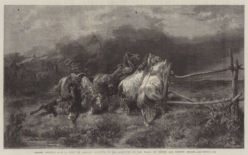 Hester som rømmer fra en brann av Adolf Schreyer
