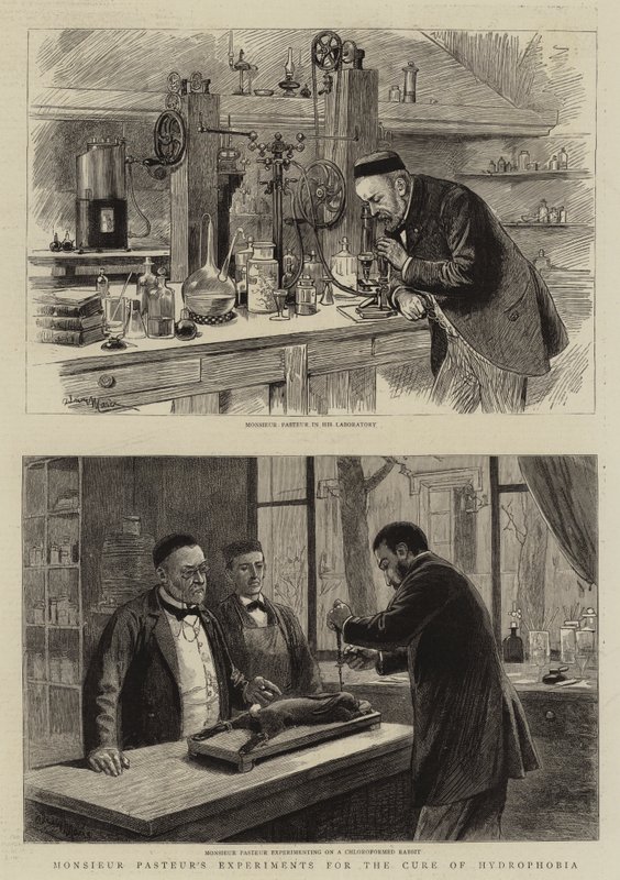 Monsieur Pasteurs eksperimenter for kurering av hydrofobi av Adrien Emmanuel Marie