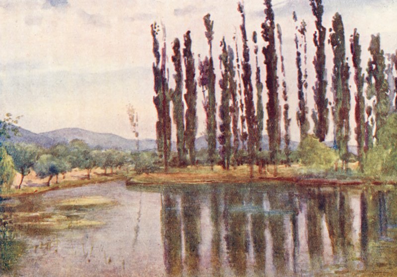  av Alberto Pisa