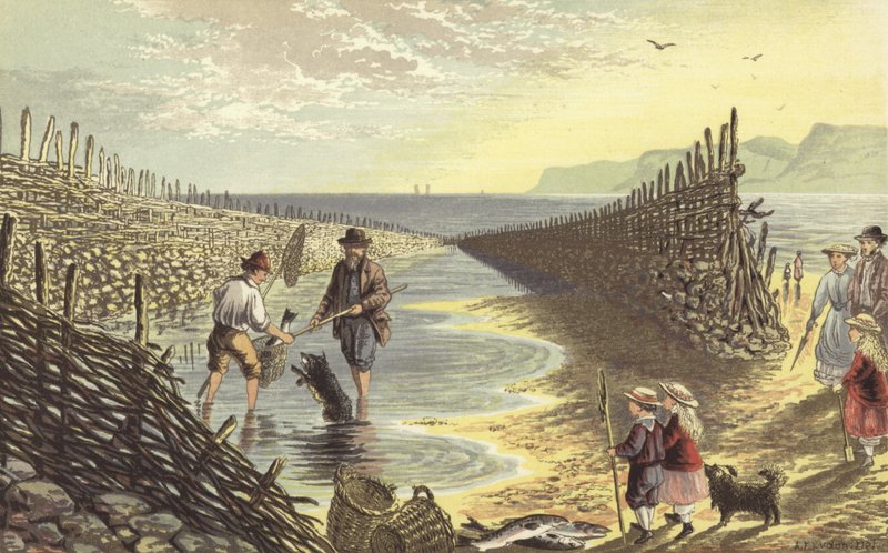 Fiskevei av Alexander Francis Lydon