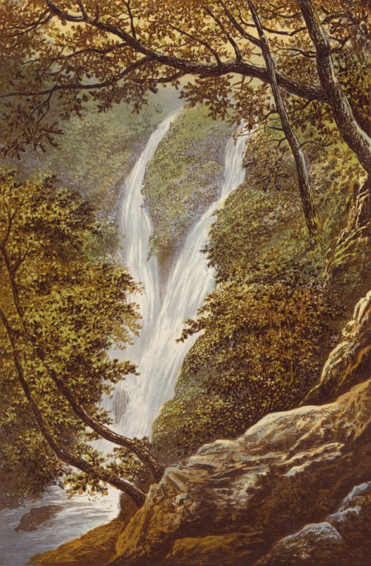 Stock Gill Force av Alexander Francis Lydon