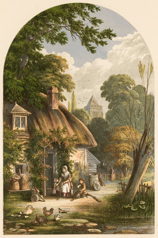 Illustrasjon for Crolys Domestic Love av Alexander Francis Lydon