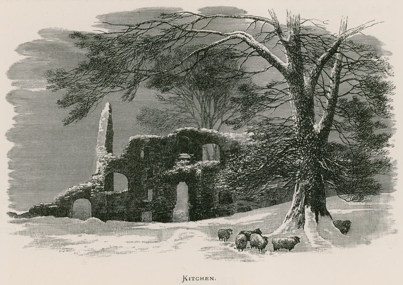 Kirkstall Abbey, kjøkken av Alexander Francis Lydon