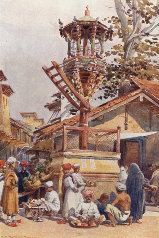 Et fôringssted for fugler, Ahmedabad av Alexander Henry Hallam Murray