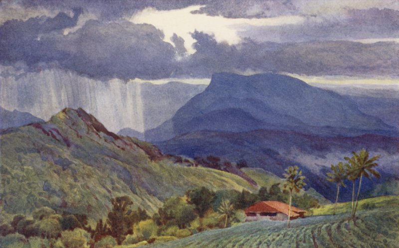 En tropisk dusj av Alexander Henry Hallam Murray
