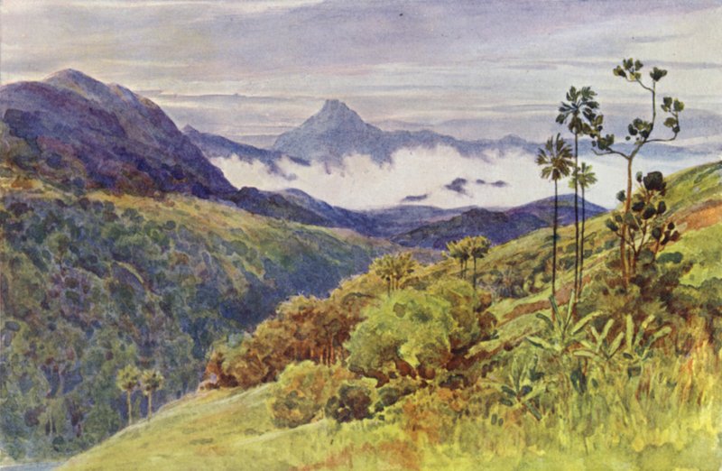 Morning Mists in the Valley of the Mahavelli Gangha (farge litho) av Alexander Henry Hallam Murray