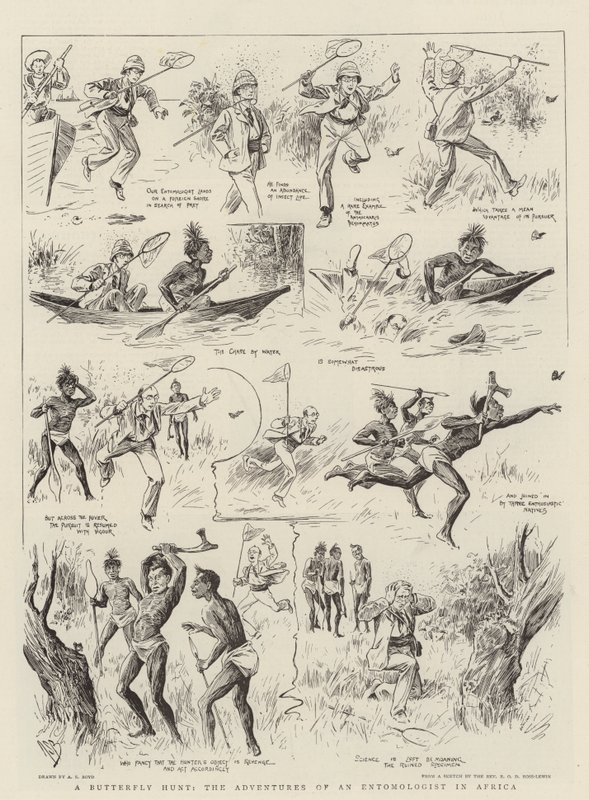 En sommerfugljakt, eventyrene til en entomolog i Afrika av Alexander Stuart Boyd
