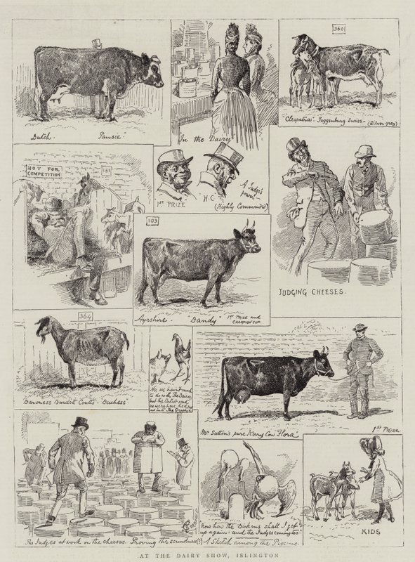 På Dairy Show, Islington av Alfred Chantrey Corbould