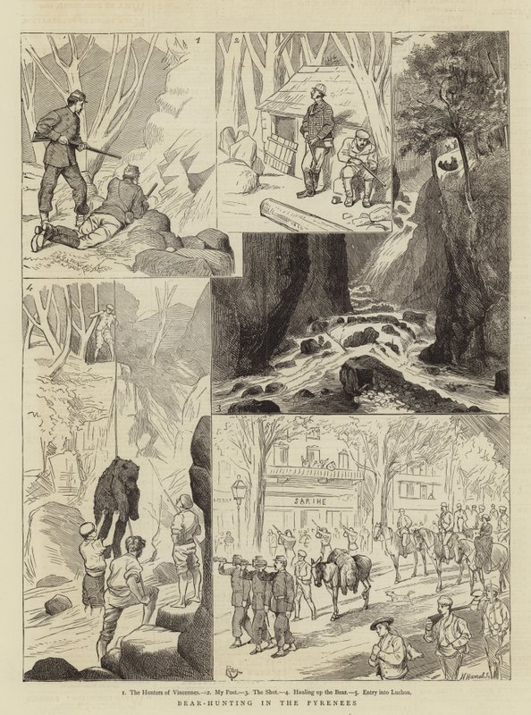 Bjørnejakt i Pyreneene av Alfred Chantrey Corbould