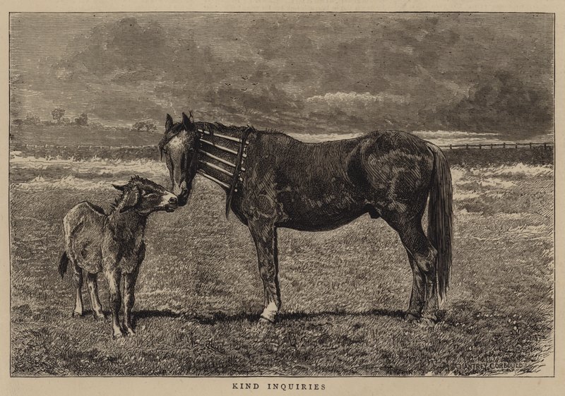 Vennlige henvendelser av Alfred Chantrey Corbould