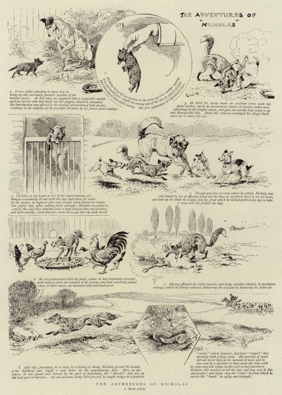 Nicholas eventyr av Alfred Chantrey Corbould