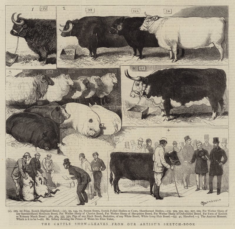 The Cattle Show, blader fra kunstnerens skissebok av Alfred Chantrey Corbould