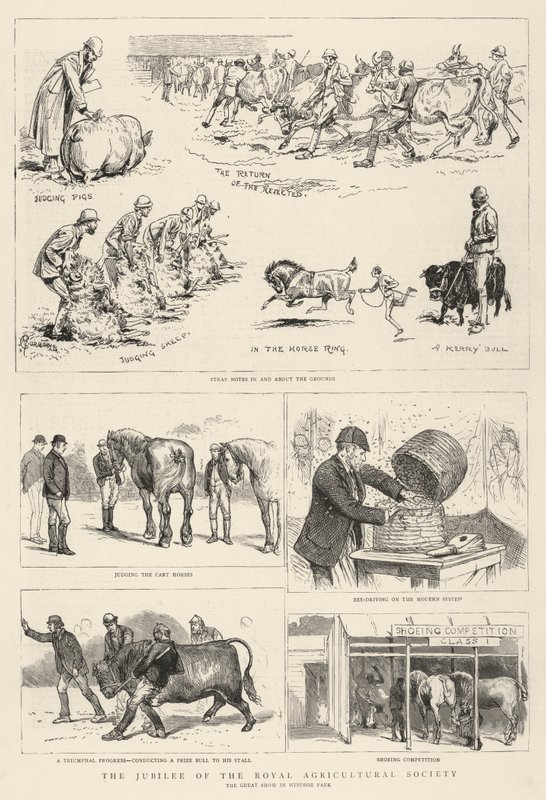 Jubileet til Royal Agricultural Society av Alfred Chantrey Corbould
