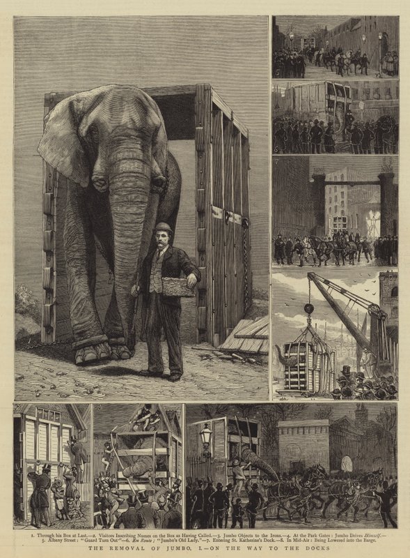 Fjerningen av Jumbo, I, på vei til havnene av Alfred Chantrey Corbould