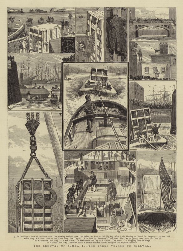 Fjerningen av Jumbo, II, lekterreisen til Millwall av Alfred Chantrey Corbould