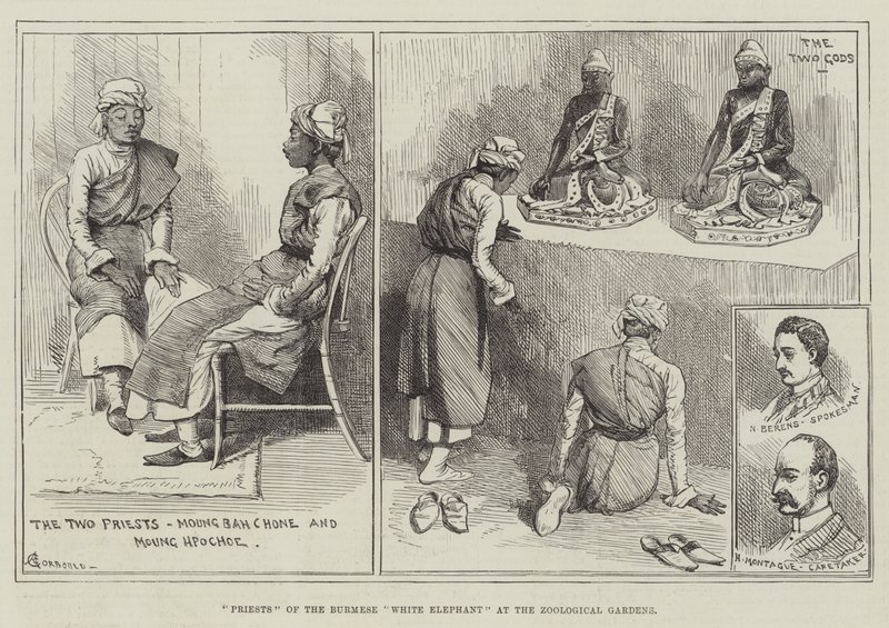 Prester for den burmesiske hvite elefanten ved Zoological Gardens av Alfred Courbould