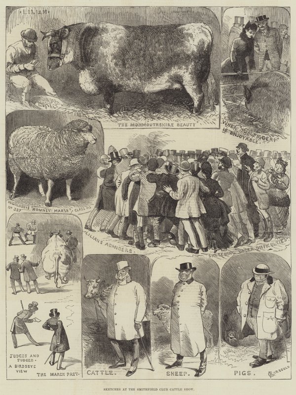 Skisser på Smithfield Club Cattle Show av Alfred Courbould