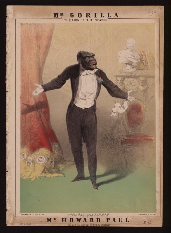 "Jeg er gorillaen til Monsieur Chaillu" (farge litho) av Alfred (after) Concanen