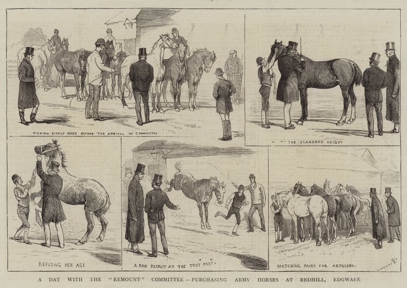 A Day with the Remount Committee, kjøp av Army Horses i Redhill, Edgware av Alfred Chantrey Corbould