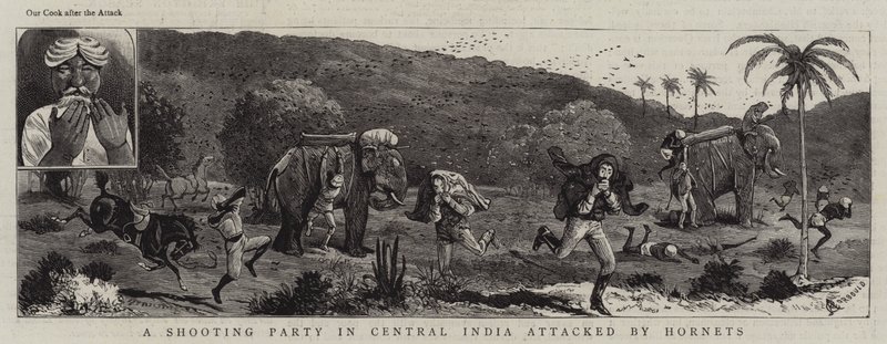 Et skyteparti i Sentral-India angrepet av Hornets av Alfred Chantrey Corbould