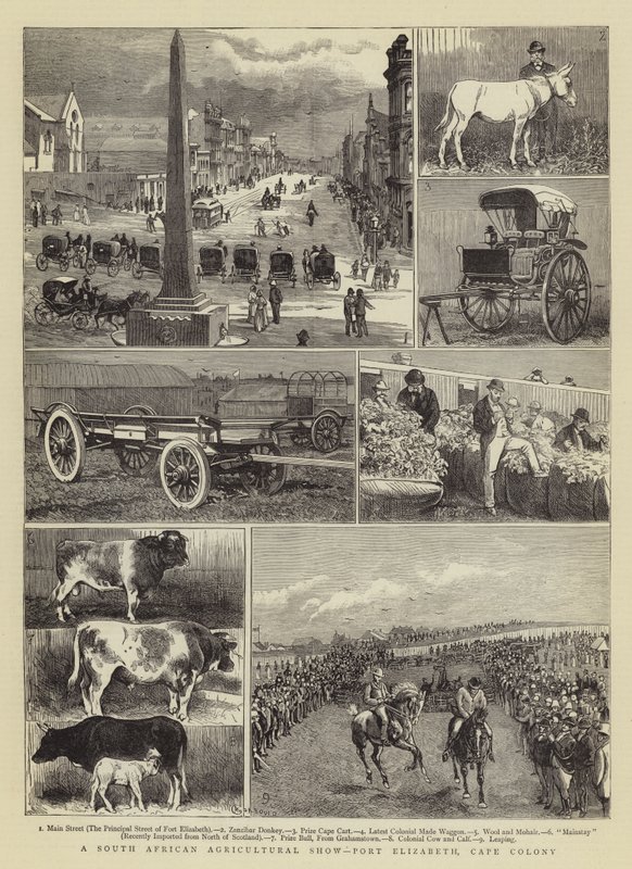 Et sørafrikansk landbruksutstilling, Port Elizabeth, Cape Colony av Alfred Chantrey Corbould