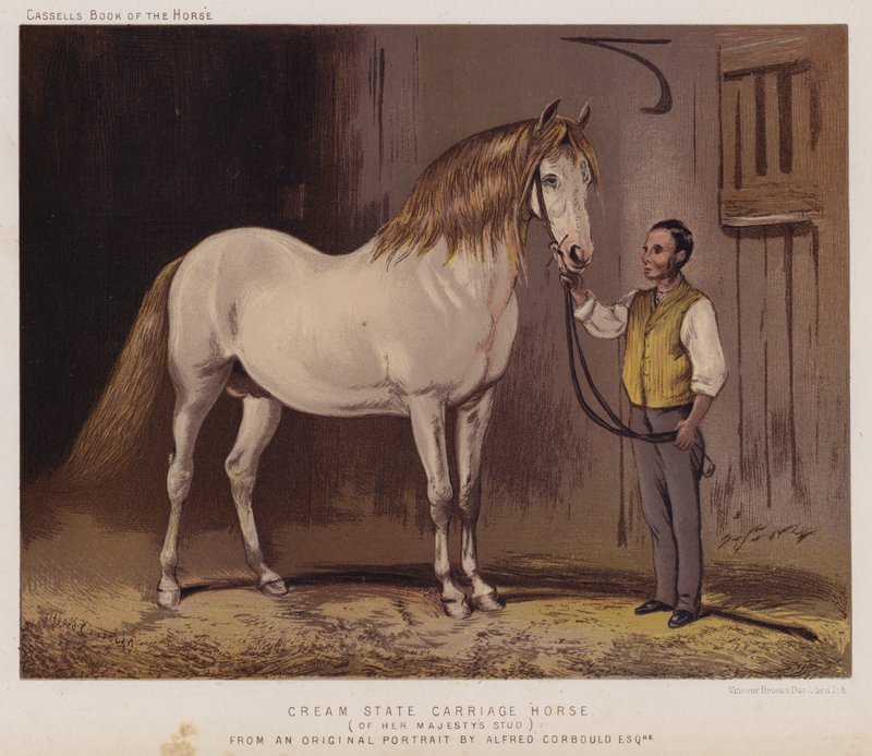 Cream State Carriage Horse, av Her Majesty