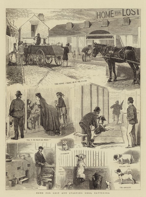 Hjem for tapte og sultne hunder, Battersea av Alfred Chantrey Corbould