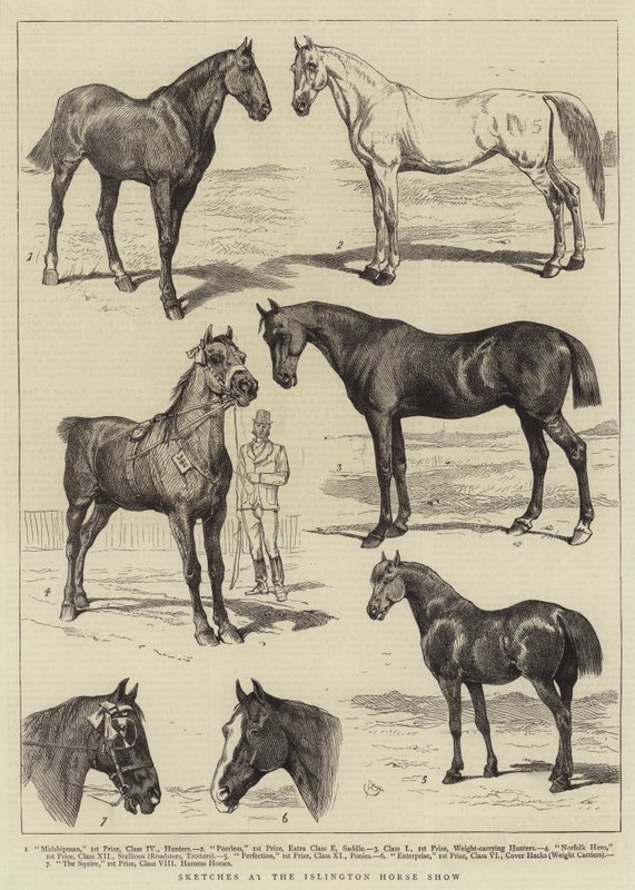 Skisser på Islington Horse Show av Alfred Chantrey Corbould