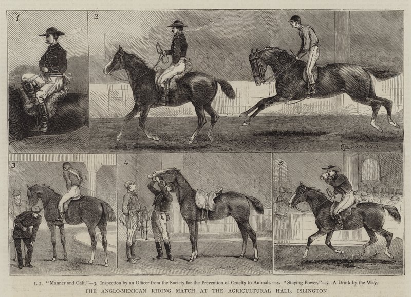 Den anglo-meksikanske ridekampen i Agricultural Hall, Islington av Alfred Chantrey Corbould