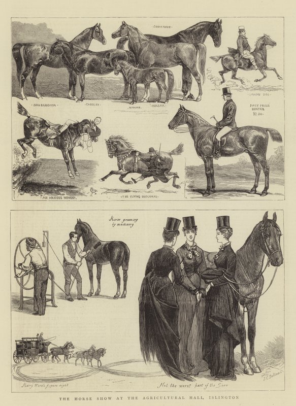 Horse Show på Agricultural Hall, Islington av Alfred Chantrey Corbould
