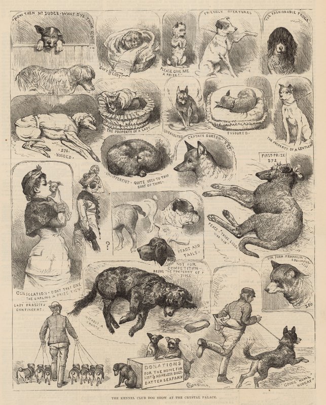 Kennelklubbens hundeutstilling på Crystal Palace av Alfred Chantrey Corbould