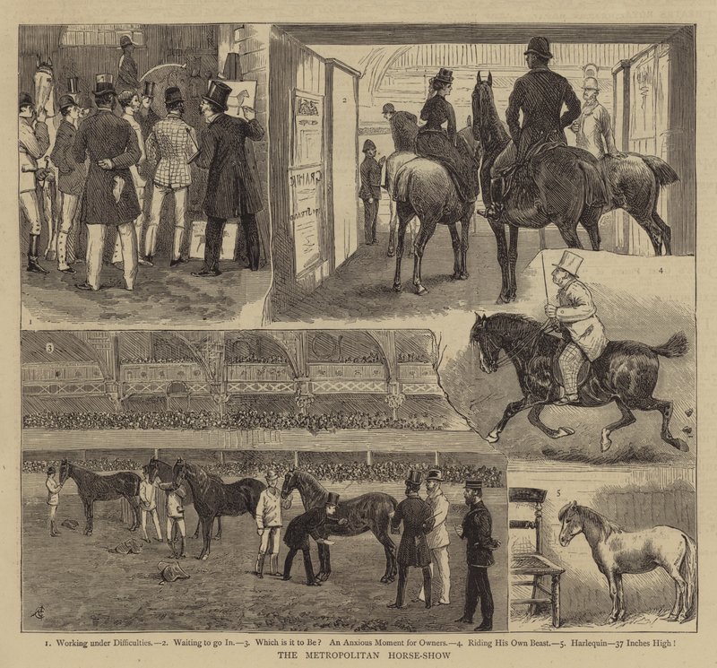 The Metropolitan Horse-Show av Alfred Chantrey Corbould